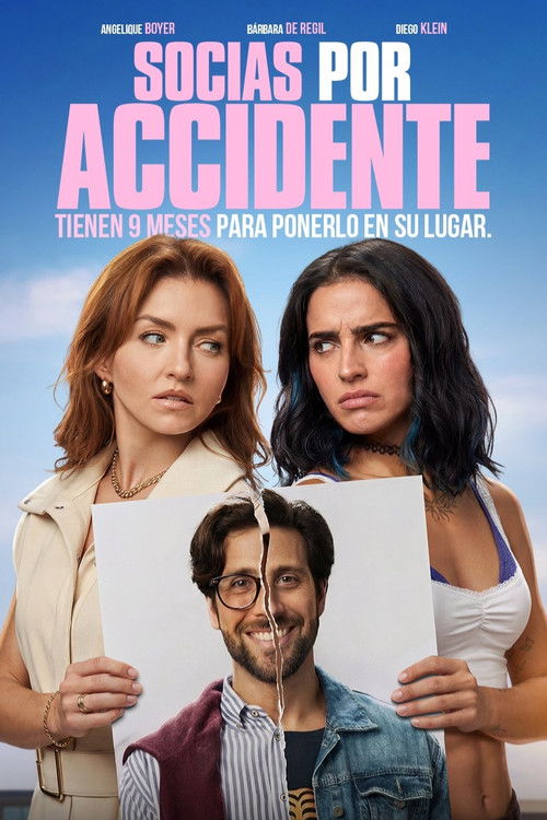 Accidental Partners poster