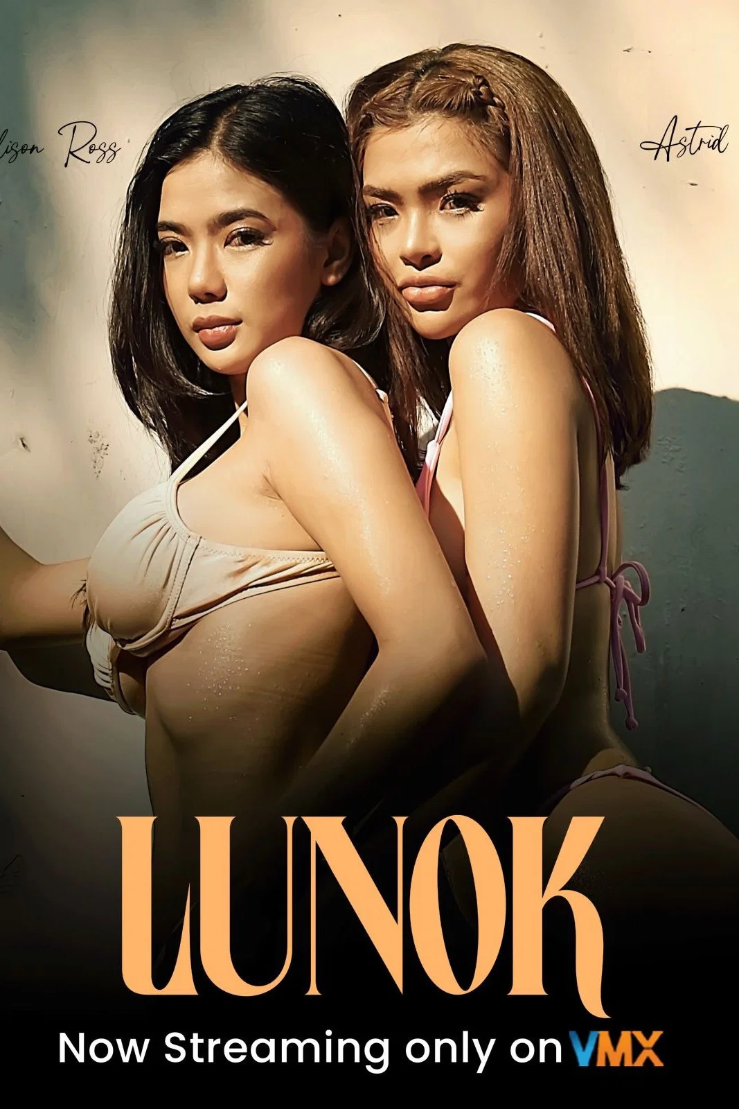 Lunok poster