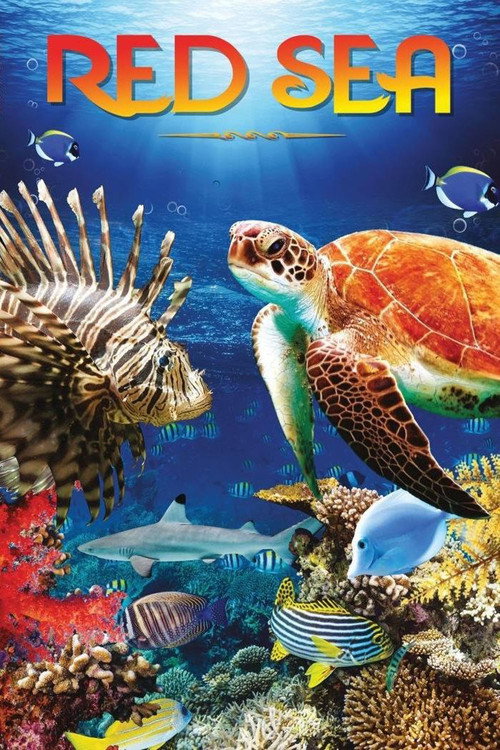 Red Sea poster