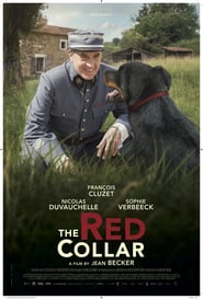 The Red Collar poster