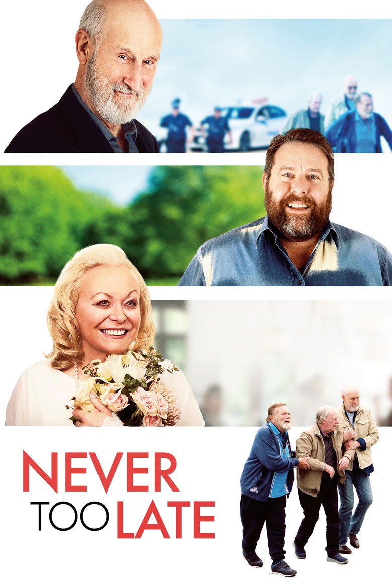 Never Too Late poster