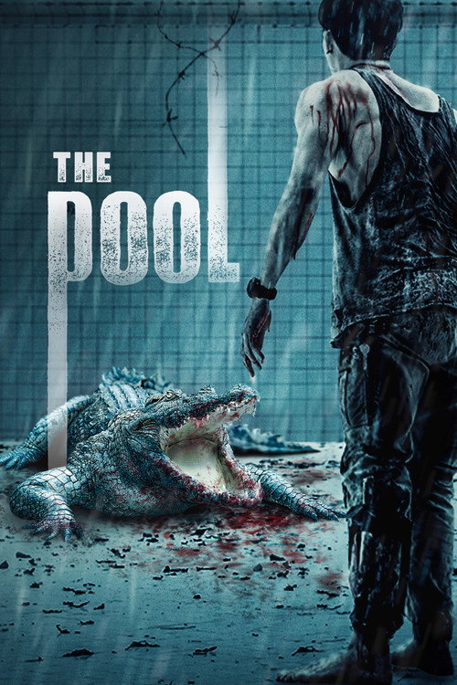 The Pool poster